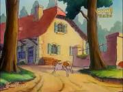 حكايات القط