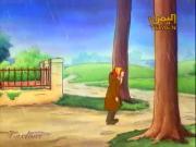 حكايات القط