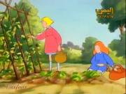 حكايات القط