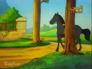 حكايات القط