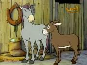 حكايات القط