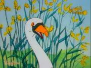 حكايات القط