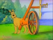 حكايات القط