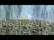 الليث الأبيض