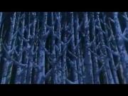 الليث الأبيض