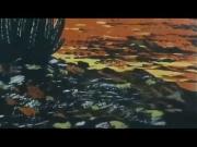 الليث الأبيض