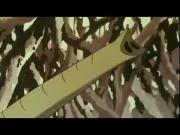 الليث الأبيض