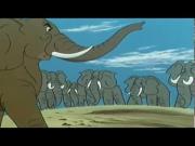 الليث الأبيض