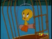 مغامرات تويتي وسلفستر