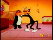 مغامرات تويتي وسلفستر