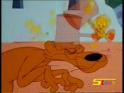 مغامرات تويتي وسلفستر