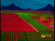 مغامرات تويتي وسلفستر