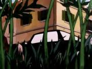 مغامرات سوسان