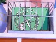 مغامرات سوسان