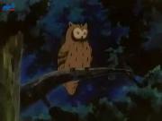 مدرسة الكونغ فو