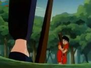 مدرسة الكونغ فو