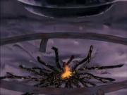 فارس الفتى الشجاع