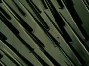 النمر المقنع